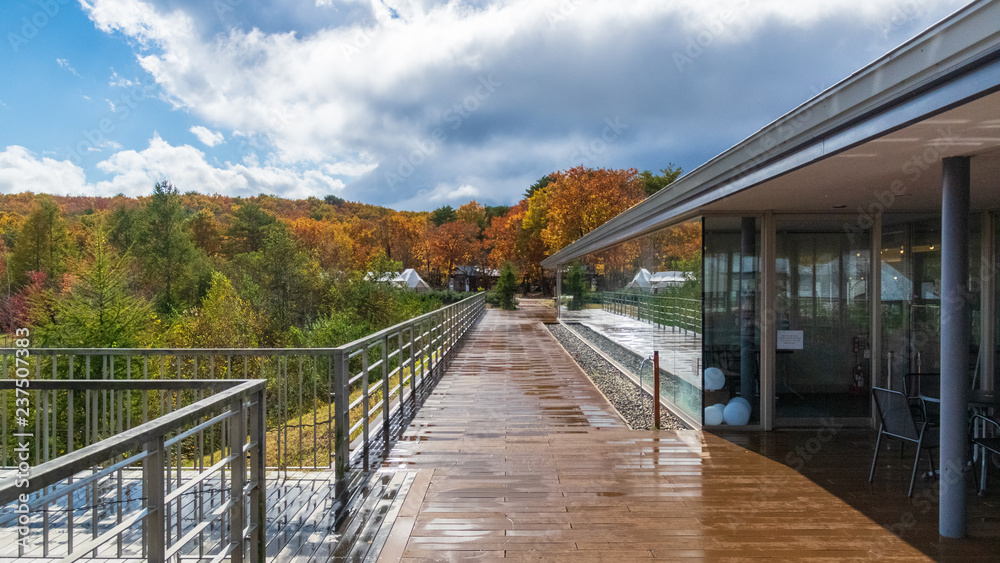 Obraz premium 羽鳥湖高原の秋