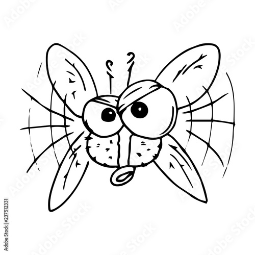 Fly hand drawn. Vector illustration of cartoon fly. Icon fly.