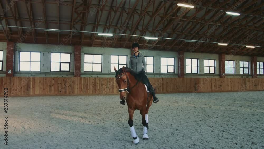 Young woman sitting on horseback and riding on covered sandy arena having practice. Young woman sitting on horseback and riding on covered sandy arena having practice.