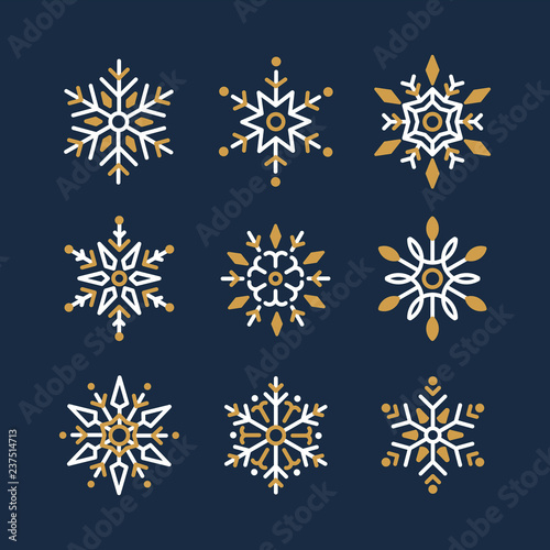 Set of Snowflakes Christmas design vector