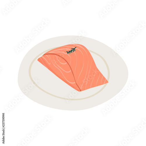 Fresh raw salmon healthy ingredient vector