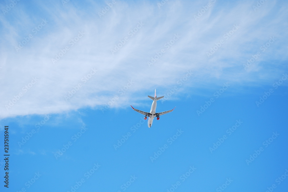 Obraz premium 飛行機