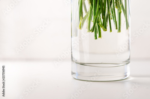 Green stems of flowers in a glass vase with water on a white background with copy space, close-up view.