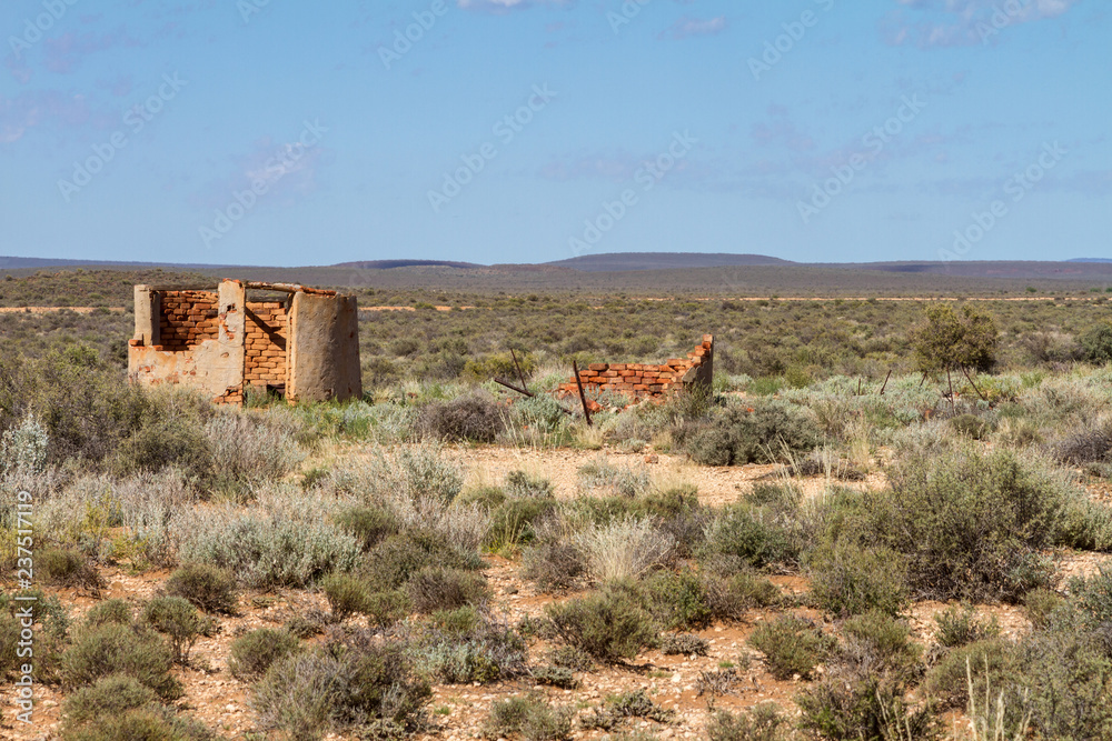 The arid landscape of the Karoo National Park in South Africa.