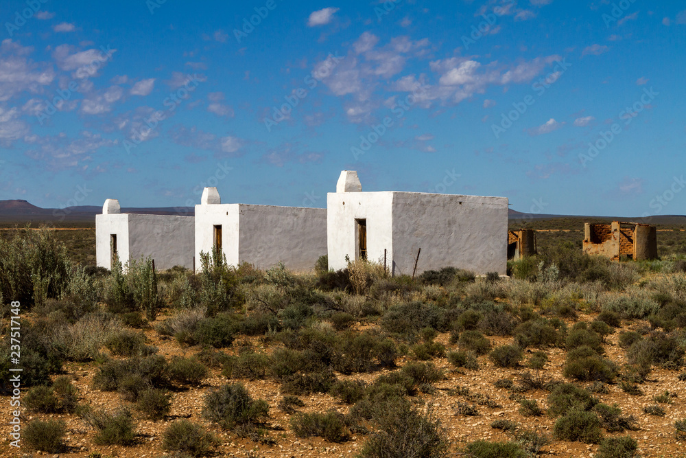 The arid landscape of the Karoo National Park in South Africa.