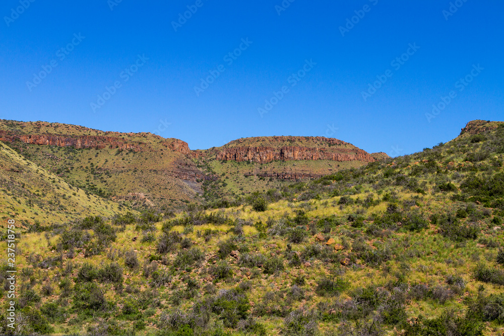 The arid landscape of the Karoo National Park in South Africa.