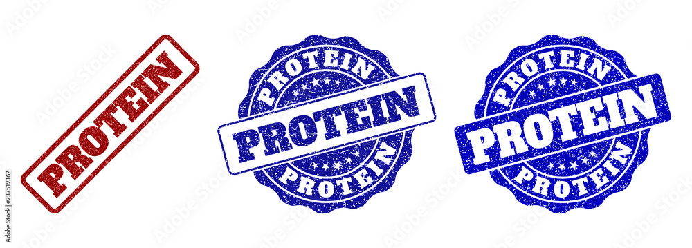PROTEIN scratched stamp seals in red and blue colors. Vector PROTEIN labels with distress texture. Graphic elements are rounded rectangles, rosettes, circles and text labels. PROTEIN scratched stamp seals in red and blue colors. Vector PROTEIN labels with distress texture. Graphic elements are rounded rectangles, rosettes, circles and text labels.