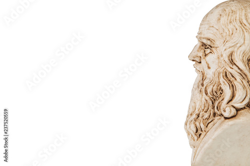 Leonardo da Vinci perspective white background