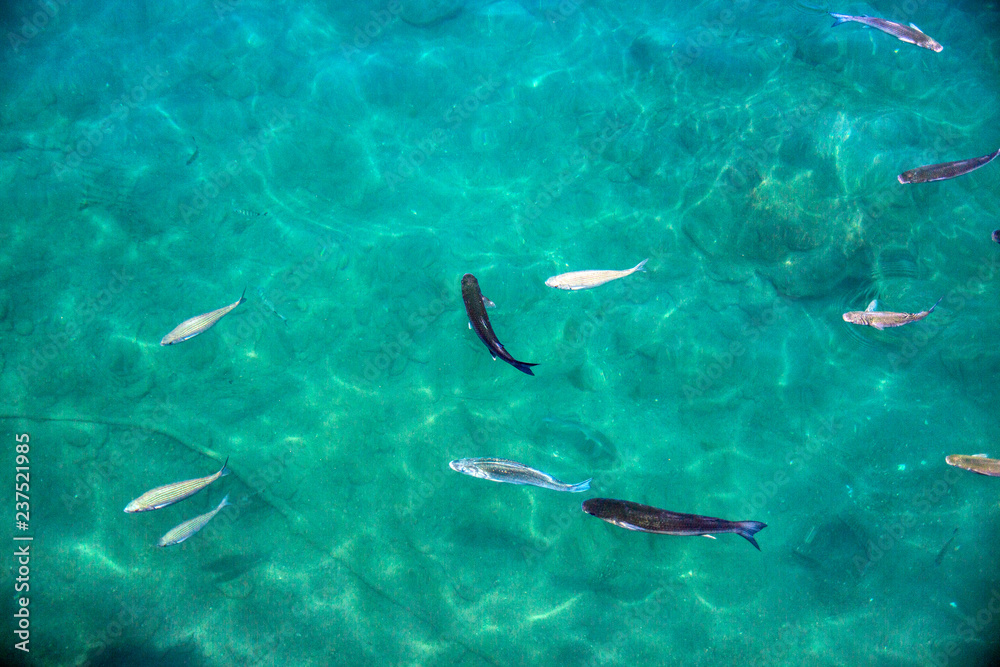 Obraz premium Teneriffa