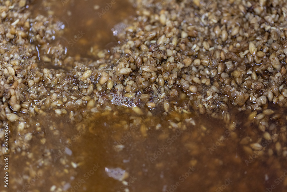 Materials for Beer fermentation, Beer raw materials and Production of Beer at the home. Materials for Beer fermentation, Beer raw materials and Production of Beer at the home.