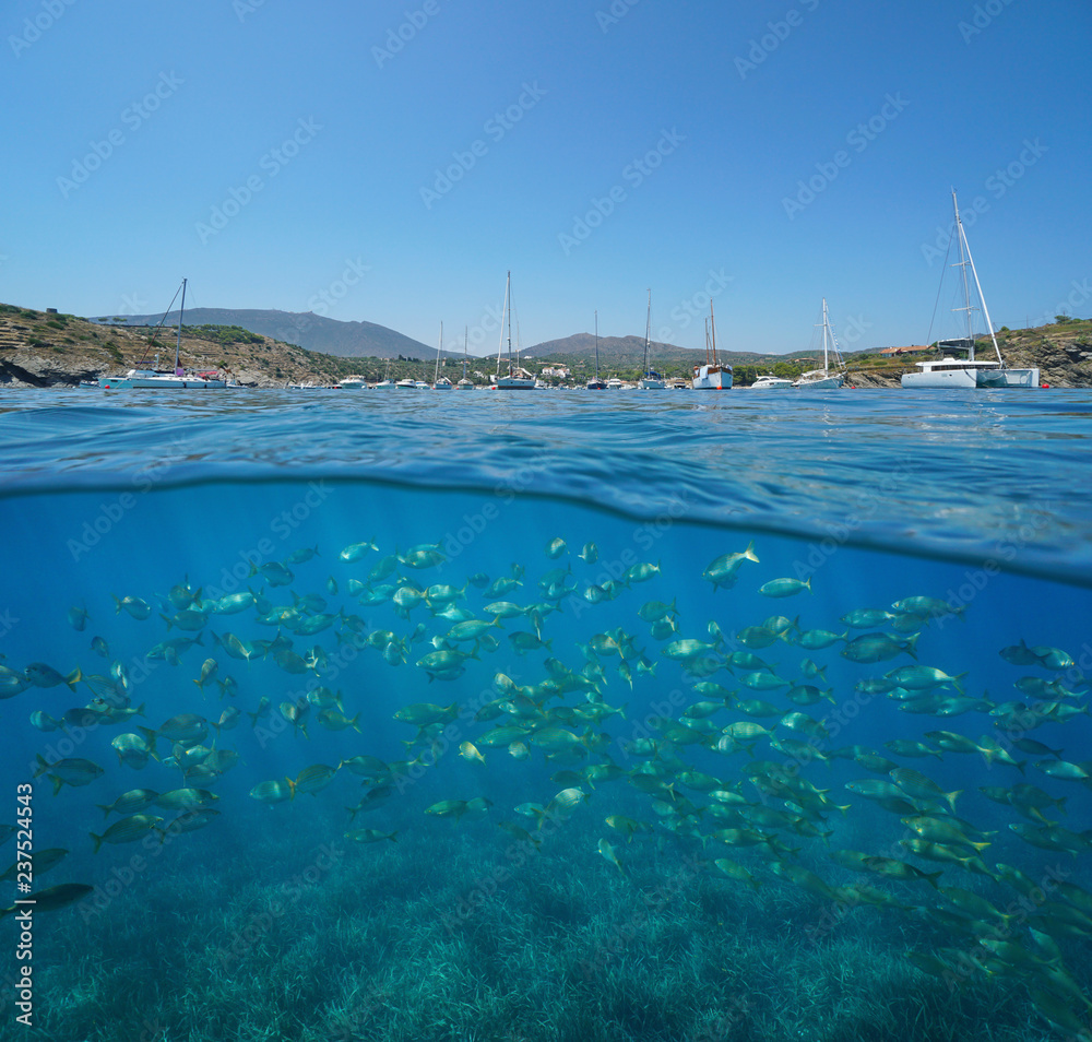 Mediterranean sea coastline with moored boats in summer and fish school underwater, split view half above and below water surface, Spain, Cadaques, Portlligat, Costa Brava, Catalonia