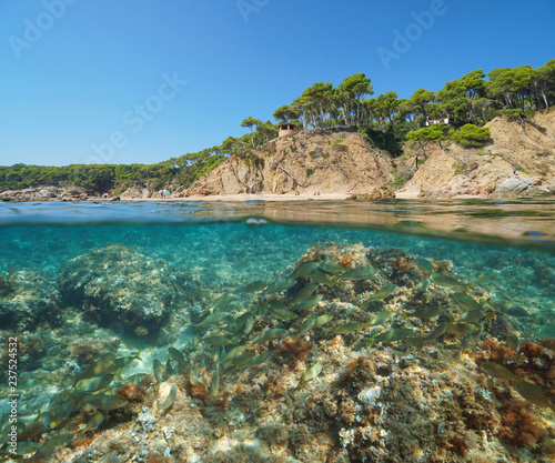 Fototapeta Naklejka Na Ścianę i Meble -  Mediterranean coast in Spain with a shoal of fish underwater sea, split view half above and below water surface, Cala Bona, Palamos, Costa Brava