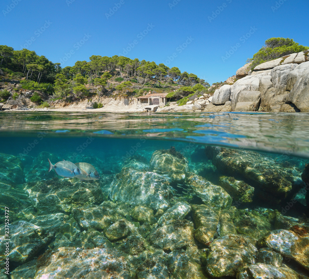 Spain Costa Brava cove with a fisherman hut and fish with rocks underwater, split view half above and below water surface, Mediterranean sea, Cala Cap de Planes, Palamos