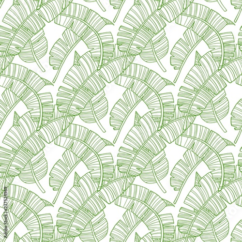 Seamless Pattern. Tropical Palm Leaves Background. Banana Leaf. Vector. Exotic Texture. Design Wallpaper.