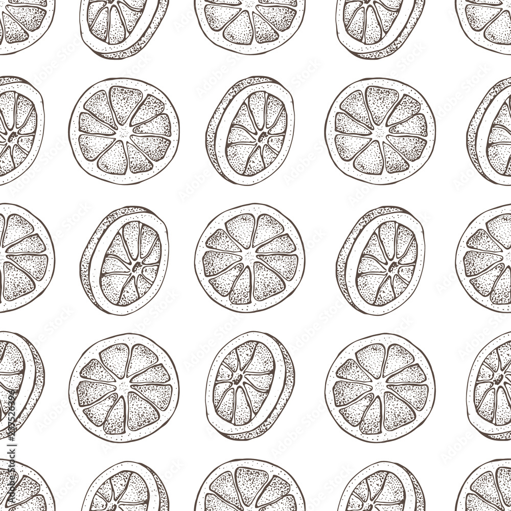 Vector seamless pattern with ink hand drawn citrus fruit, slices pieces sketch. Mandarin orange, tangerine, lime isolated on white background. Detailed vegetarian food  illustration