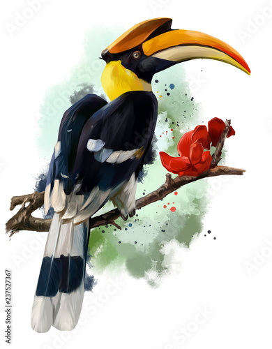 The hornbill sitting on a branch photo