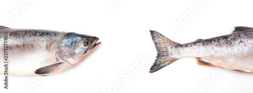 Wallpaper Mural fish head and tail on white background Torontodigital.ca