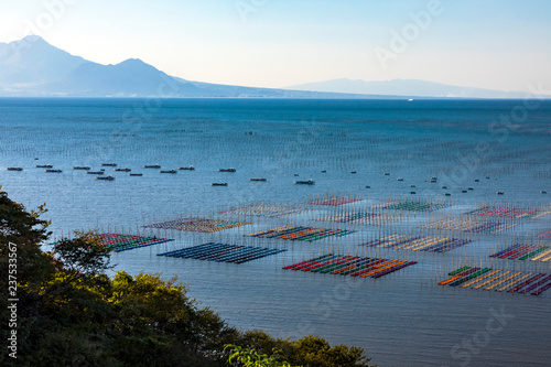 海苔ひび