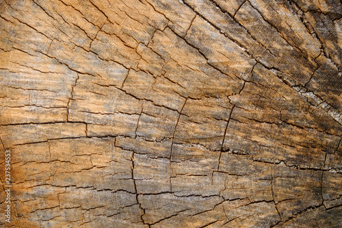 dry wood cracked pattern