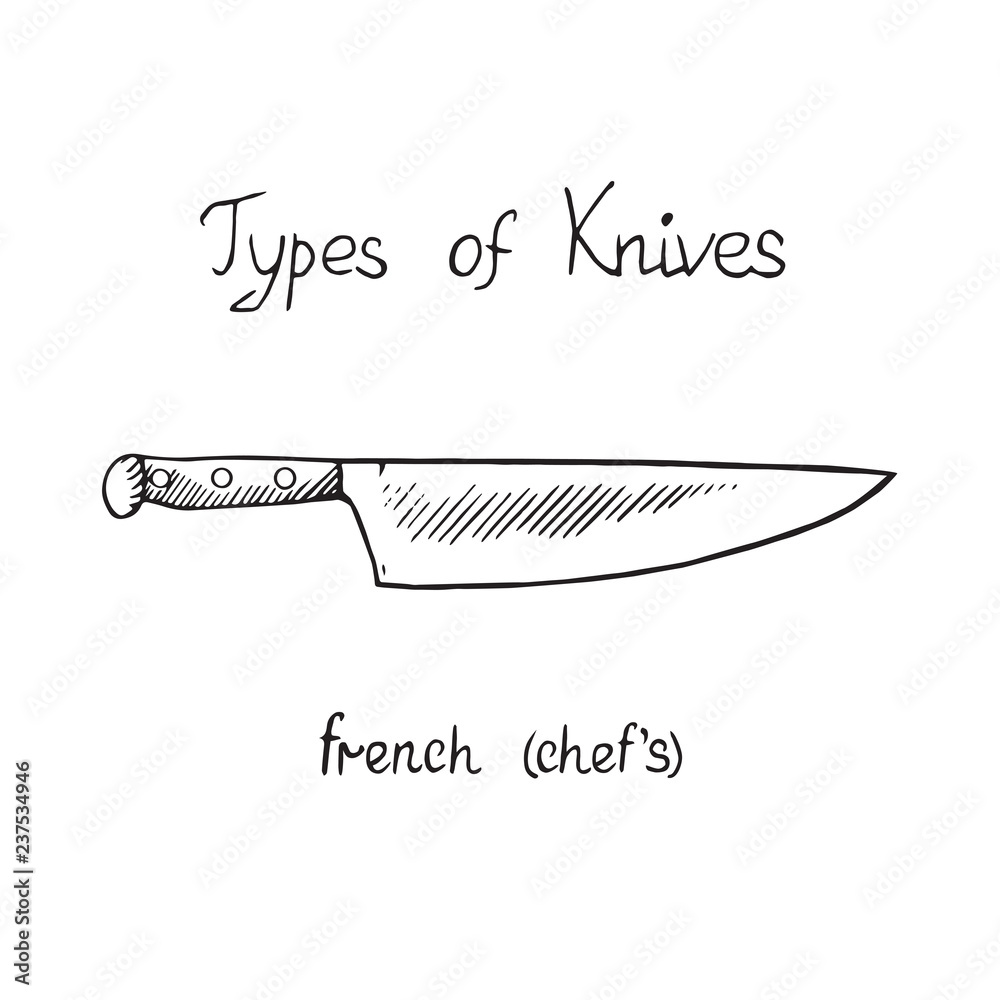 Knife types, French (chef`s), vector outline illustration with inscription  Stock Vector