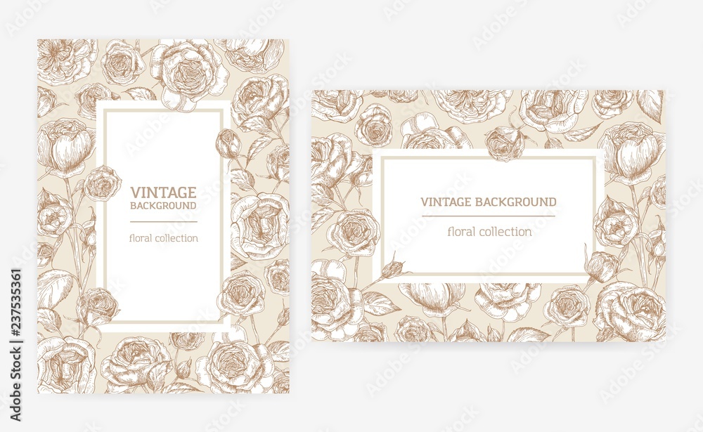 Set of vertical and horizontal card templates with frames made of Austin rose flowers and place for text. Elegant decorative floral background. Monochrome natural vector illustration in vintage style.