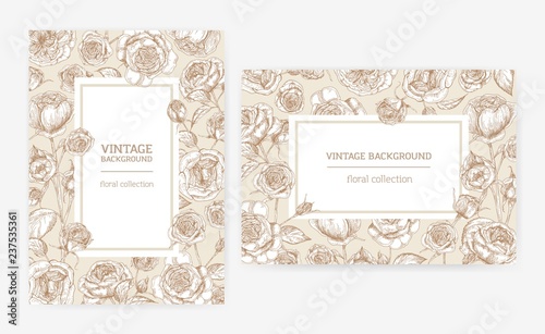 Set of vertical and horizontal card templates with frames made of Austin rose flowers and place for text. Elegant decorative floral background. Monochrome natural vector illustration in vintage style.