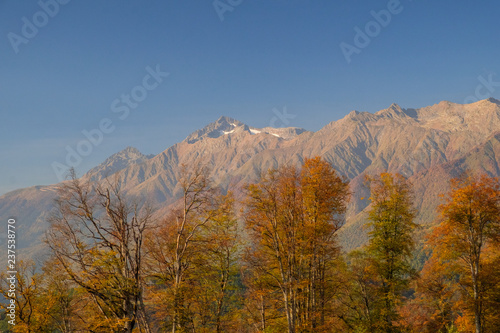 Nature and mountain landscapes of Sochi and Rosa Khutor mountain resort  autumn colors