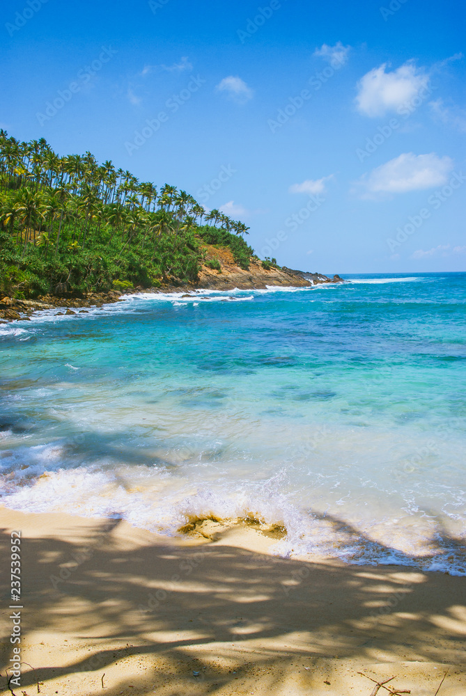 Fototapeta premium Tropical beach background with palm trees