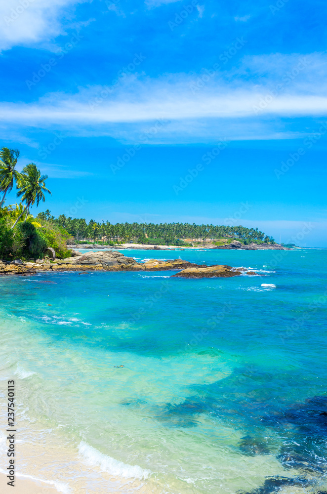 Fototapeta premium Tropical beach background with palm trees