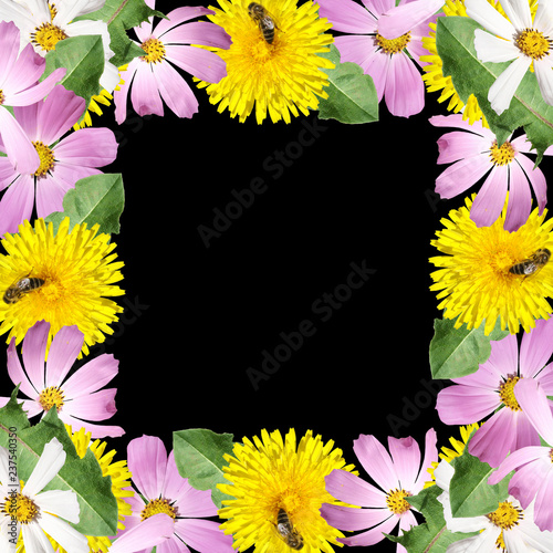 Fototapeta Naklejka Na Ścianę i Meble -  Beautiful floral background of the cosmos and dandelion  