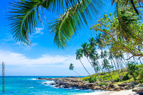 Tropical beach on a Sri Lanka s coast  coconut palms  white sand and the azure ocean. Beautiful tropical landscape