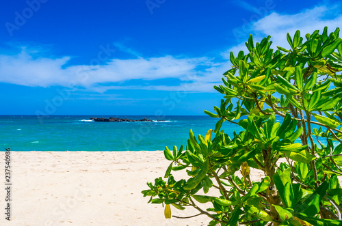 Tropical beach on a Sri Lanka s coast  coconut palms  white sand and the azure ocean. Beautiful tropical landscape