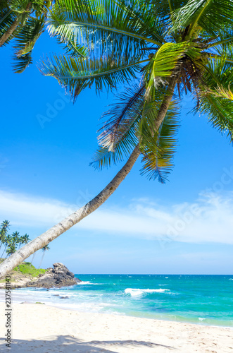 Tropical beach on a Sri Lanka s coast  coconut palms  white sand and the azure ocean. Beautiful tropical landscape