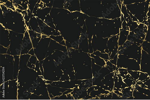 Luxury Marble background with golden pattern texture vector.