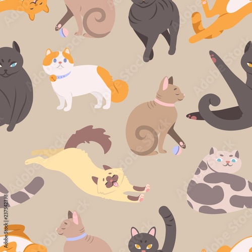 Seamless pattern with cats of various breeds. Backdrop with purebred pet animals in different postures. Colorful vector illustration in flat cartoon style for wrapping paper, textile print, wallpaper.