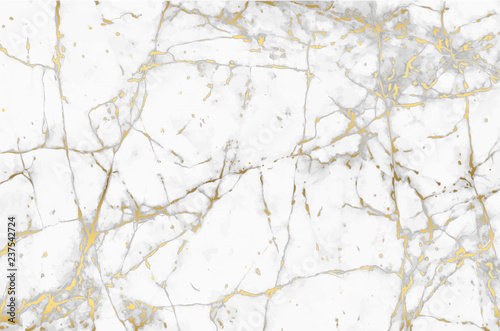 Luxury marble background with golden pattern texture vector