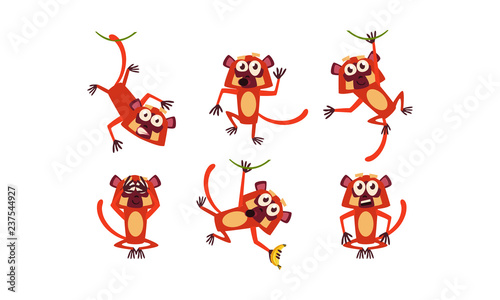 Flat vector set of funny brown lemur in different poses. Monkey with various emotions. Cartoon character of wild animal