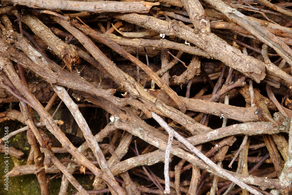 Pile of tree branches composition as a background texture Pile of tree branches composition as a background texture