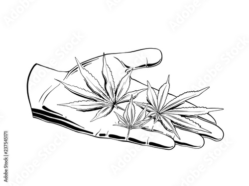 Vector engraved style illustration for posters, logo, emblem, decoration and print. Hand drawn sketch of marijuana leaves on the hand, on white background. Detailed vintage etching style drawing.