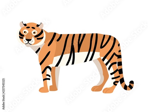 Tiger isolated on white background