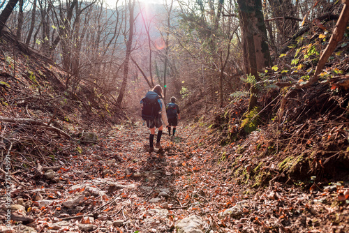 people walking in the autumnal forest 