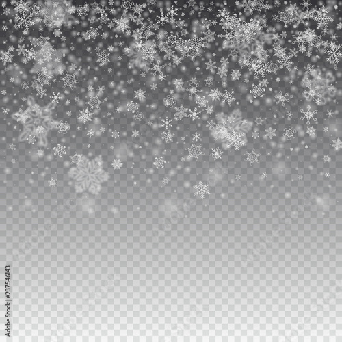 Vector snowfall, snowflakes of various shapes. Many white cold flaky elements on transparent background. White falling fly in the air.