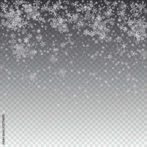 Vector snowfall, snowflakes of various shapes. Many white cold flaky elements on transparent background. White falling fly in the air.