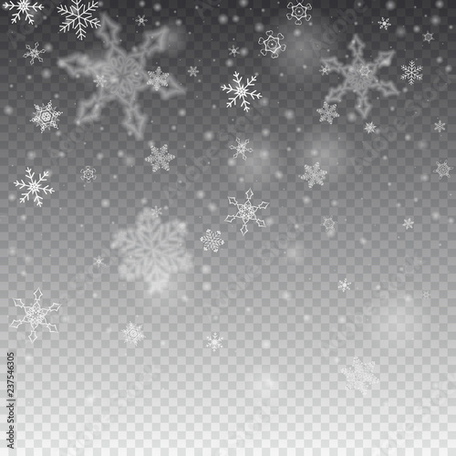 Vector snowfall, snowflakes of various shapes. Many white cold flaky elements on transparent background. White falling fly in the air.