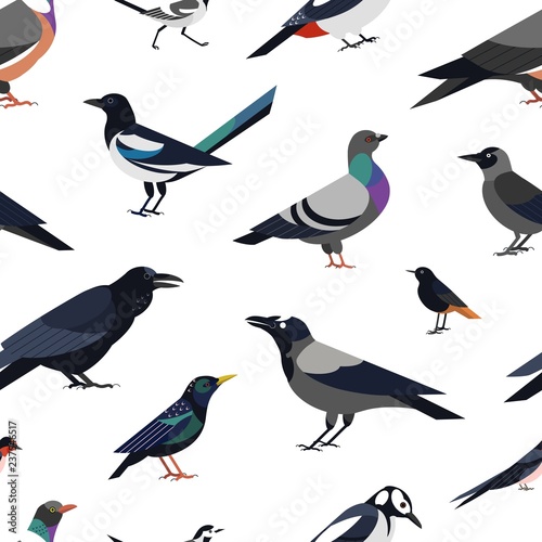 Seamless pattern with city synanthrope and wild forest birds on white background. Trendy ornithological vector illustration in modern geometric flat style for wrapping paper, textile print, wallpaper.