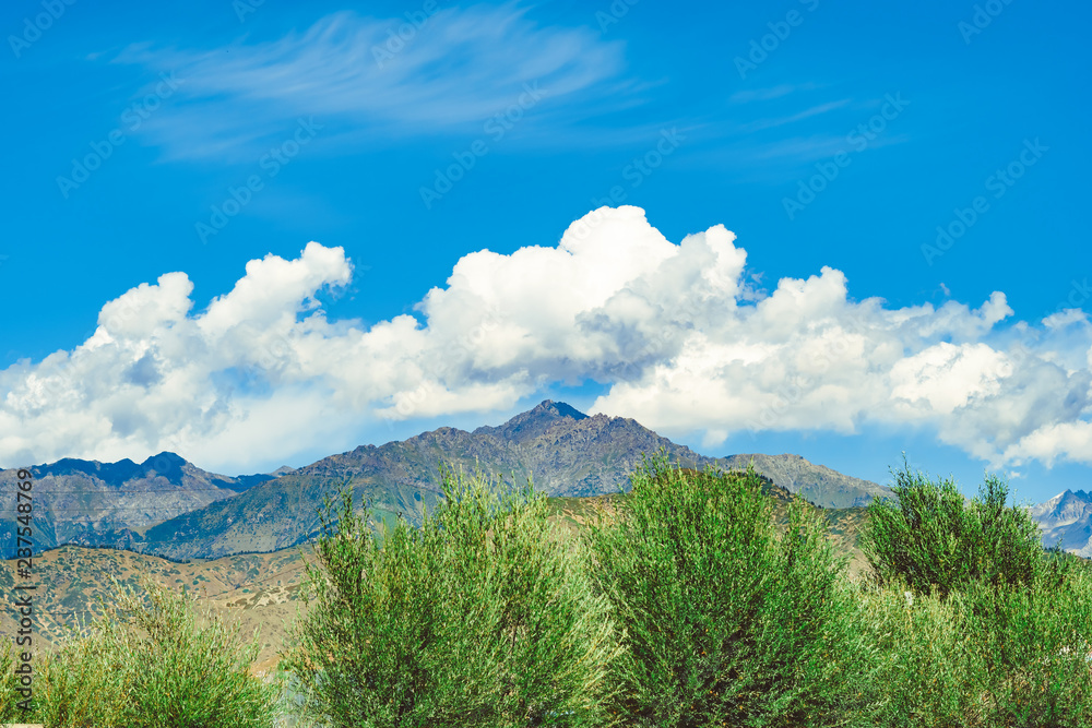Fototapeta premium the landscape of the red mountains