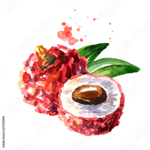 Fresh lychee fruits. Watercolor hand drawn illustration  isolated on white background