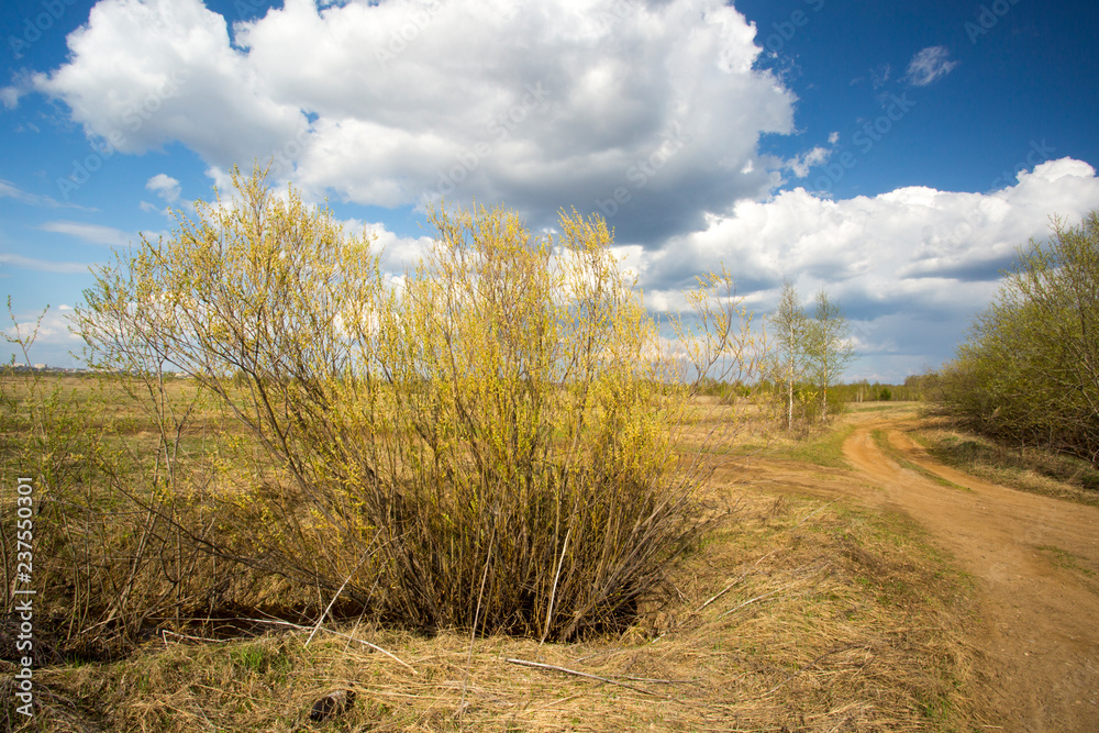 Obraz premium Spring landscape with clouds