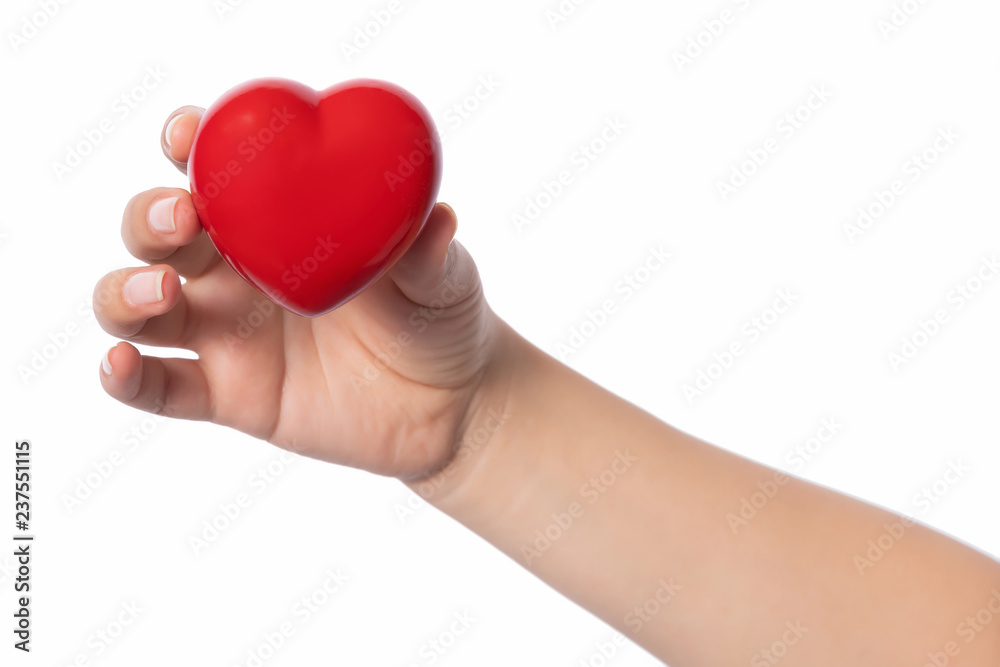 Healthcare concept, female holding heart with love in her hands