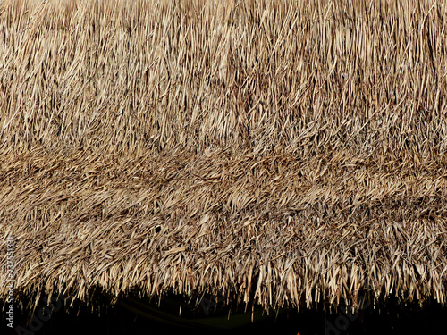 Canvastavla thatched roof